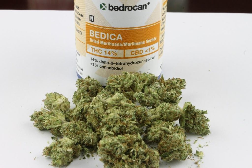 cannabis-terapeutica cannabis terapeutica